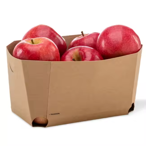 Apple Tray Packaging 