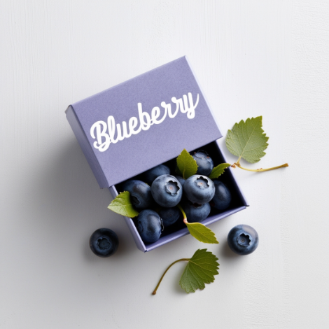 Blueberry Packaging 