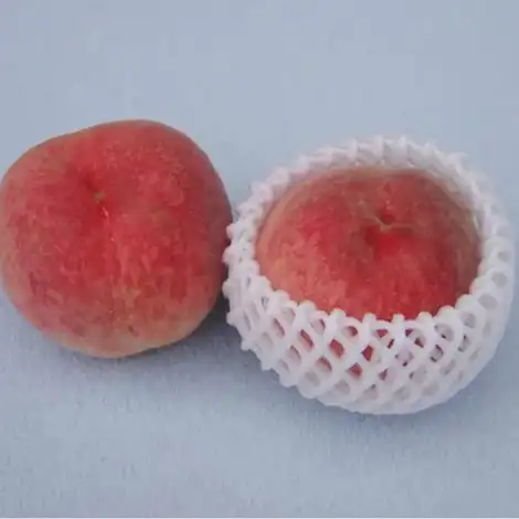 Custom Styrofoam Fruit Packaging 