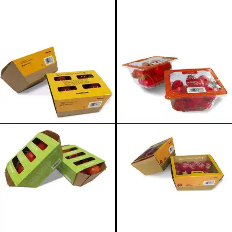 Fruit Salad Packaging 