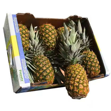 Pineapple Packaging 