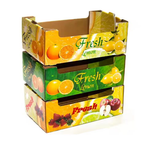 Grape Fruit Packaging 