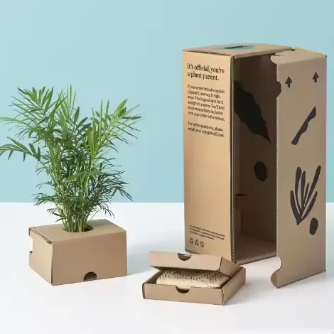 Leaf Boxes Custom Plant Packaging Boxes