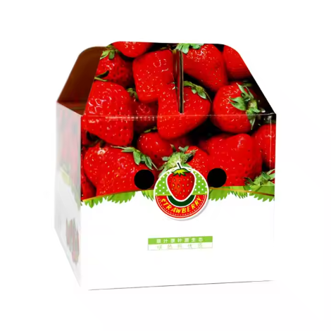 Strawberry Packaging 